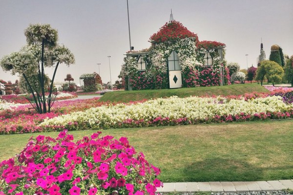 Dubai Miracle Garden 