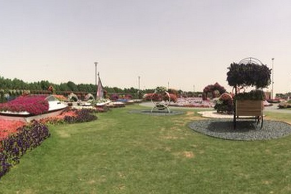 Dubai Miracle Garden 