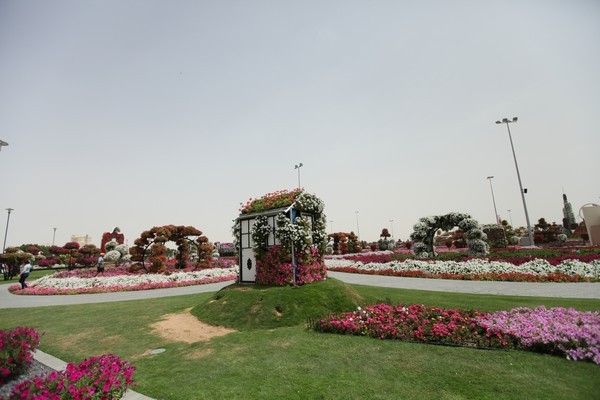 Dubai Miracle Garden 