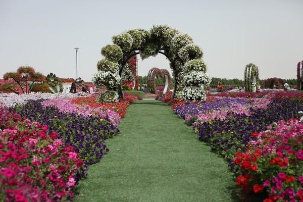 Dubai Miracle Garden 