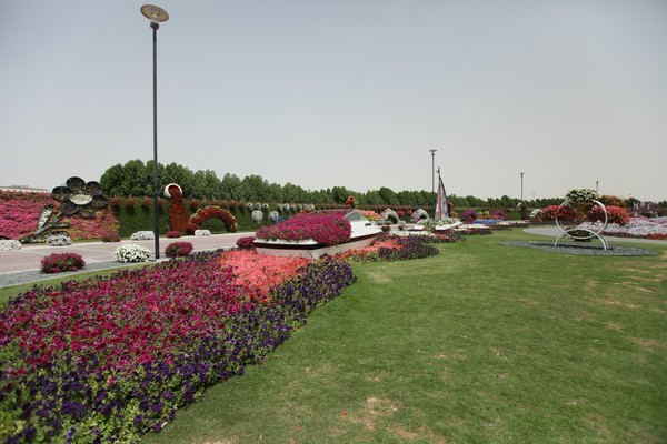 Dubai Miracle Garden 