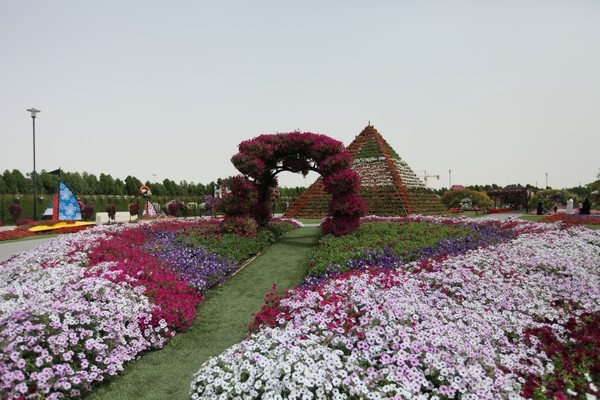 Dubai Miracle Garden 