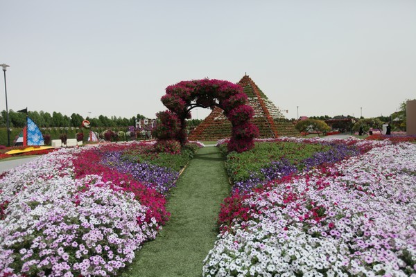 Dubai Miracle Garden 