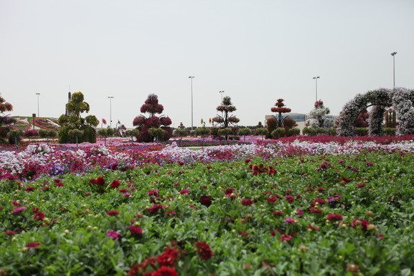 Dubai Miracle Garden 