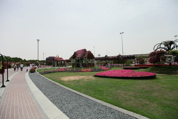 Dubai Miracle Garden 