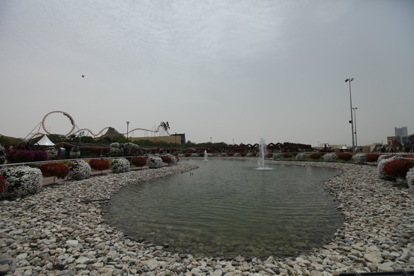 Dubai Miracle Garden 