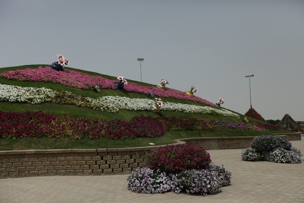 Dubai Miracle Garden 