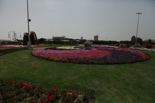 Dubai Miracle Garden 
