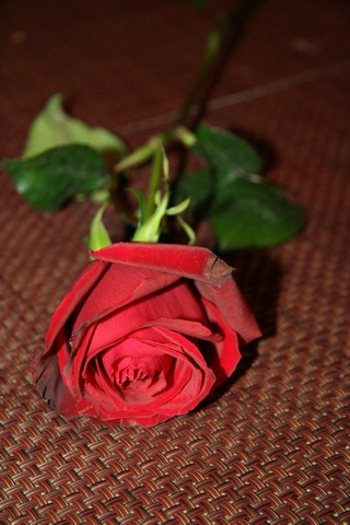 Valentine's at Caffe Mondo