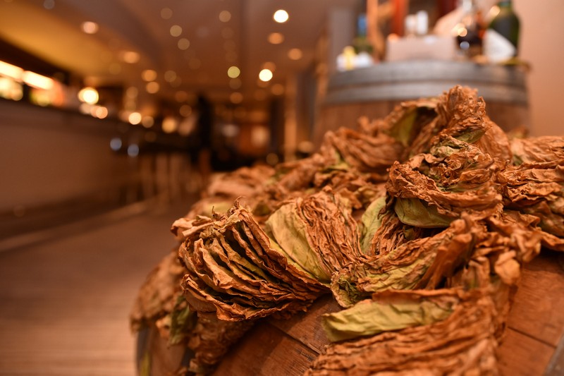 Cigar Night at Hemingway's Movenpick
