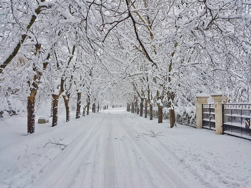 Lebanon covered by snow 