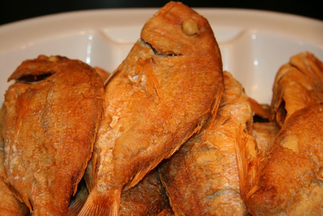 Fisherman Catch Night