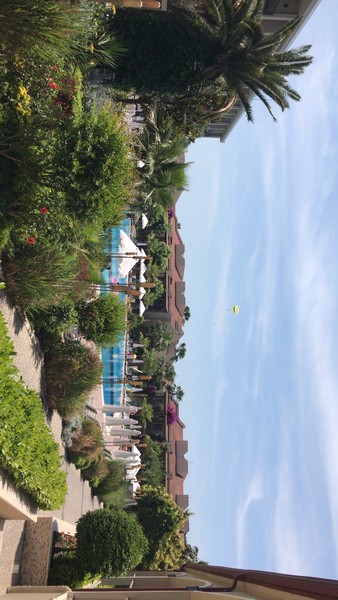 Paloma Oceana