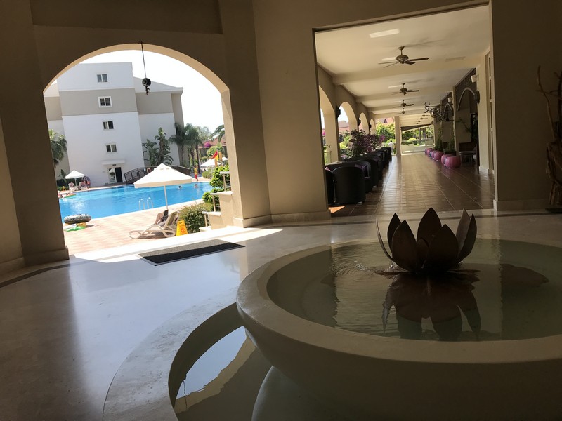 Paloma Oceana
