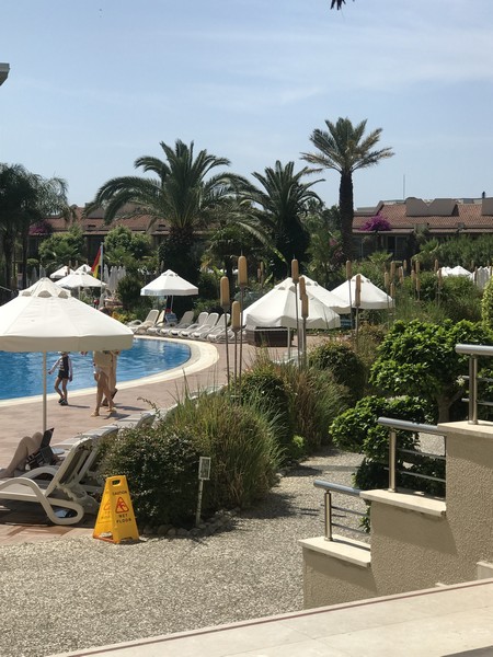 Paloma Oceana