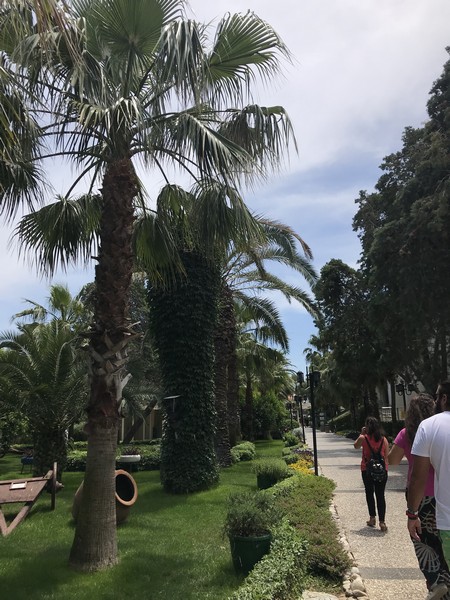 Paloma Oceana