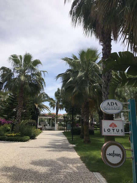 Paloma Oceana