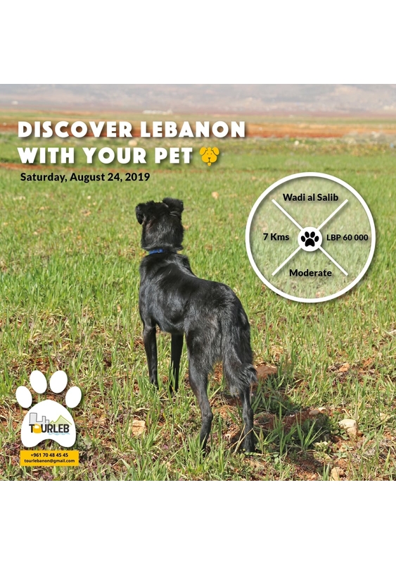 Discover Lebanon With Your Pet