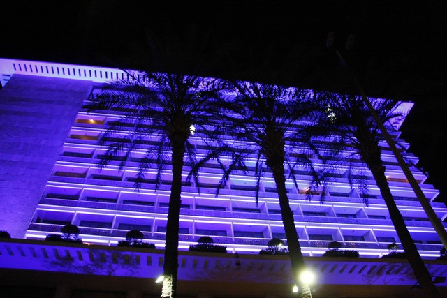 Phoenicia World Autism Day