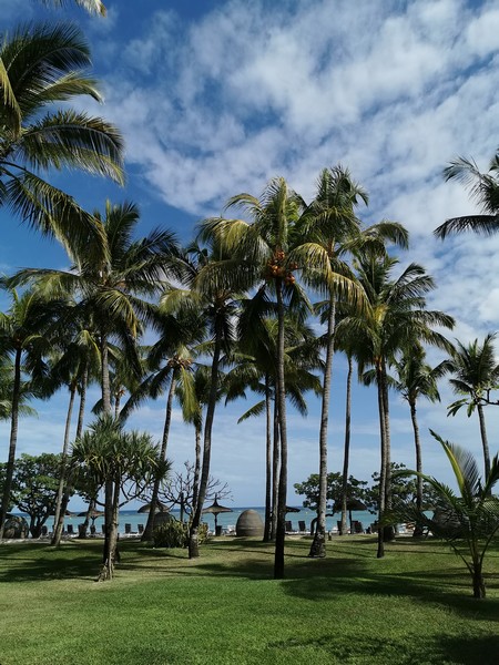 MyNaturalBreak with Phyto at Mauritius Day1