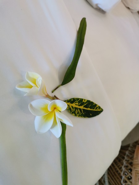 MyNaturalBreak with Phyto at Mauritius Day1