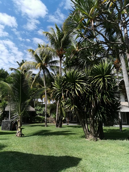 MyNaturalBreak with Phyto at Mauritius Day1