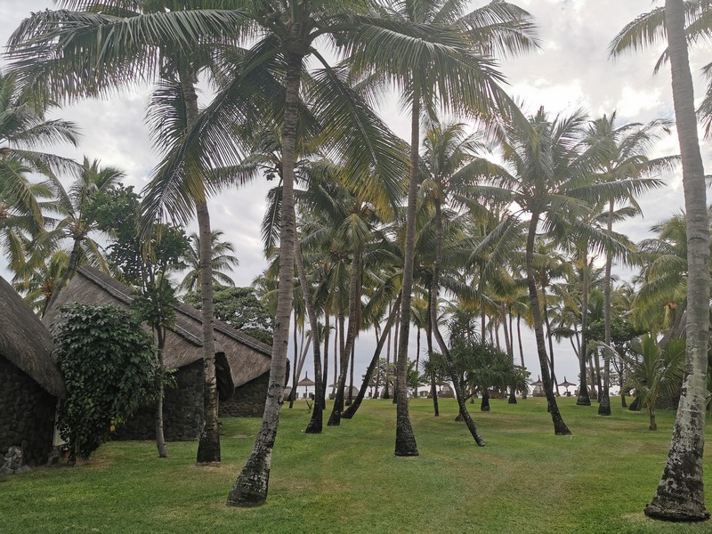 MyNaturalBreak with Phyto at Mauritius Day1