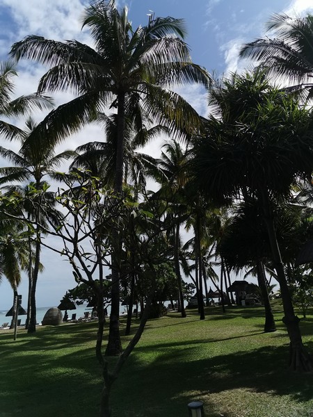 MyNaturalBreak with Phyto at Mauritius Day1