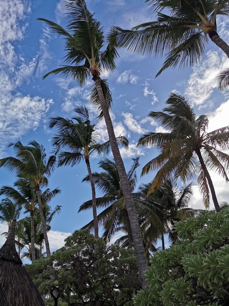 MyNaturalBreak with Phyto at Mauritius Day3