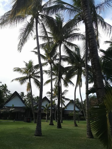 MyNaturalBreak with Phyto at Mauritius Day4