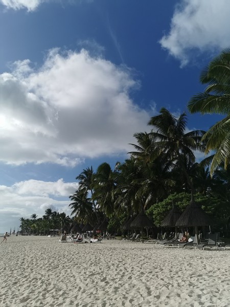 MyNaturalBreak with Phyto at Mauritius Day4