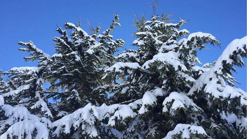 Lebanon covered by snow 