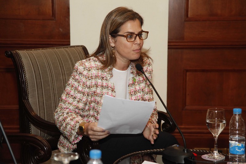 Platform Horizon-The Financial Situation talk in Lebanon
