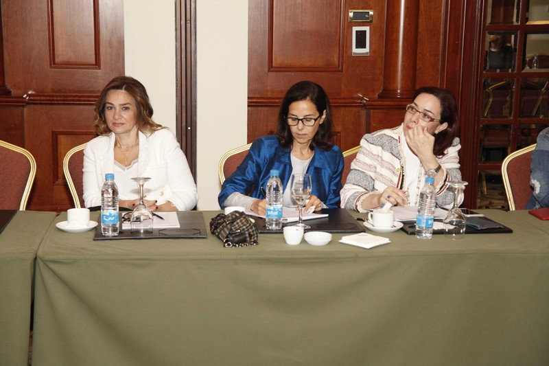 Platform Horizon-The Financial Situation talk in Lebanon