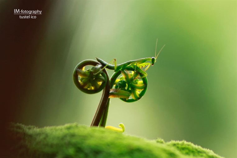50 Pictures at Perfect Timing