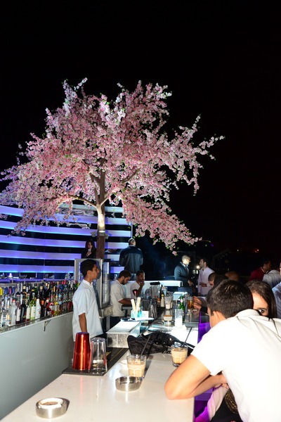 Publicity on Saturday Night