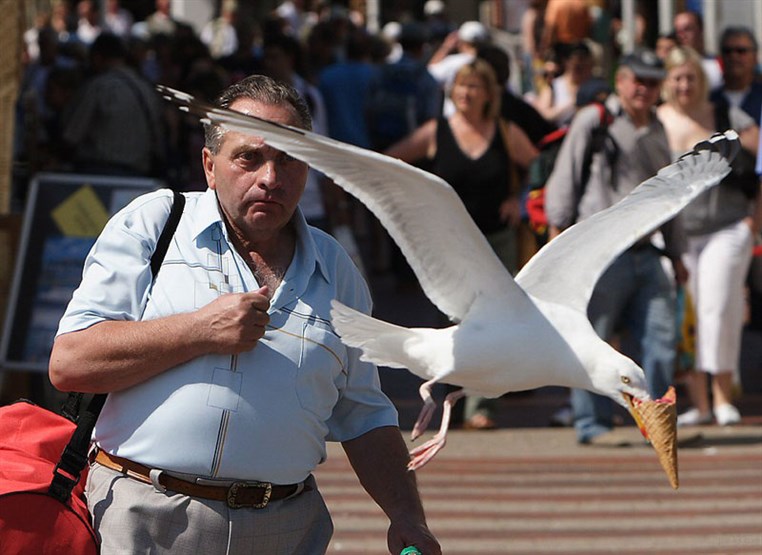 50 Pictures at Perfect Timing