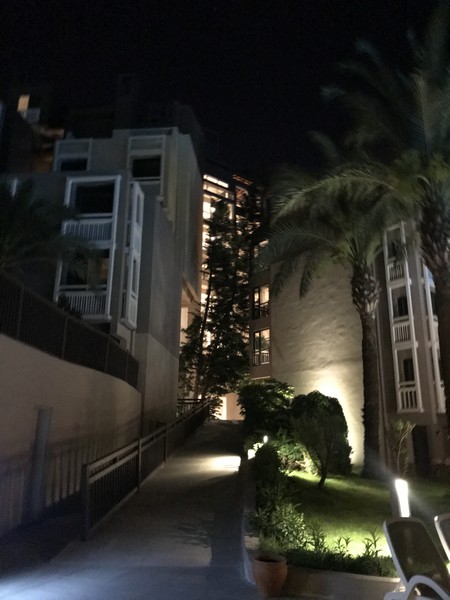 Sentido Perissia