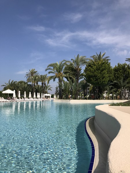 Sentido Perissia