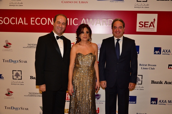 3rd Social Economic Awards 2013