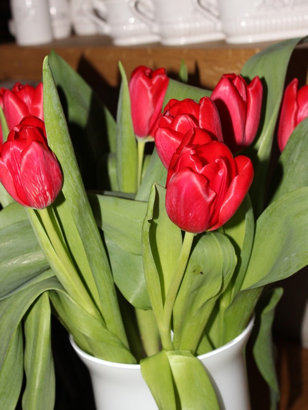 Valentine's Night at the Spoonteller 