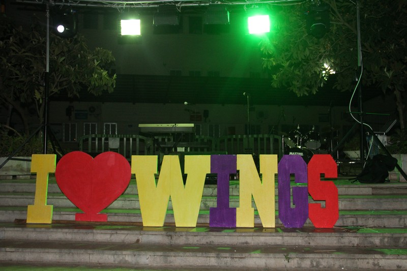 The National Day of Chicken Wings 