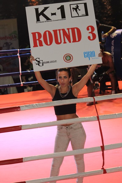K-1 ESC Extreme Striking Championship