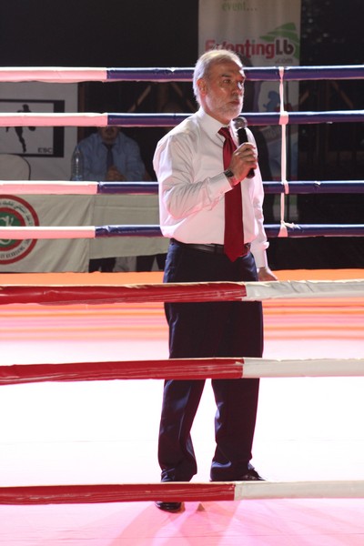 K-1 ESC Extreme Striking Championship