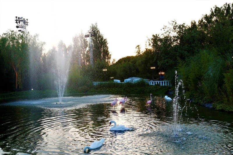 White Night at Swanlake