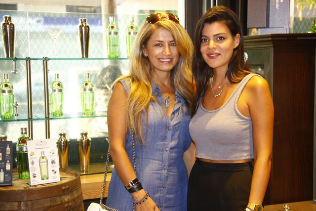 A Fine Drinking evening with Tanqueray No TEN