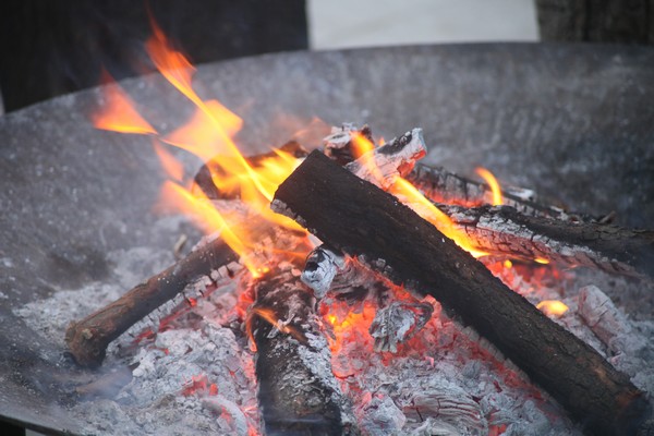 Terrebrune Sunday Barbecue 