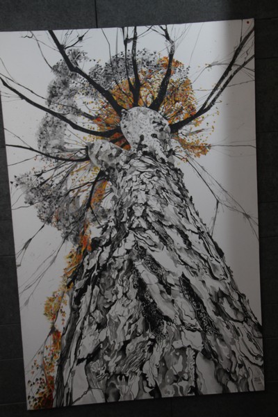 Tony Ward Initiative supporting Arts & Creativity