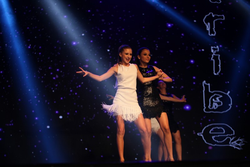 Tribe Dance Mission : Vision-Part2