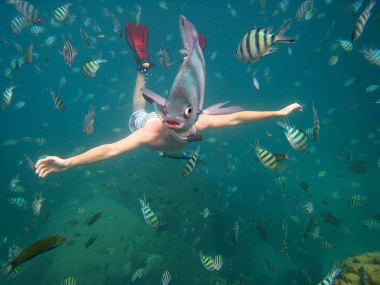 50 Pictures at Perfect Timing